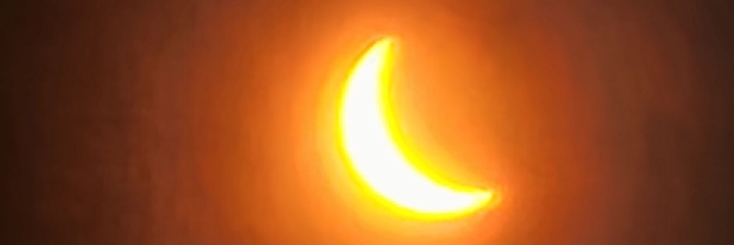 mattispossum's profile banner image