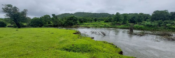 khalooo Profile Banner