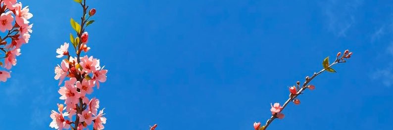 bdgrlriri's profile banner image