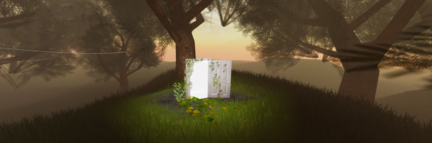 Z1n banner