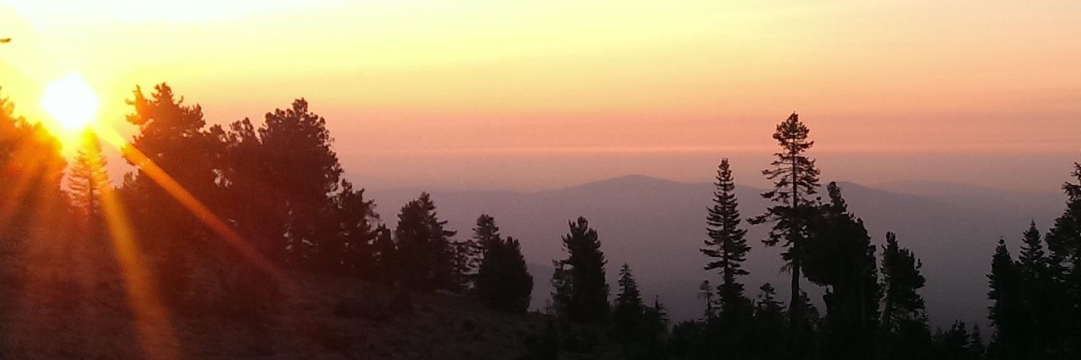 stillbonafide's profile banner image
