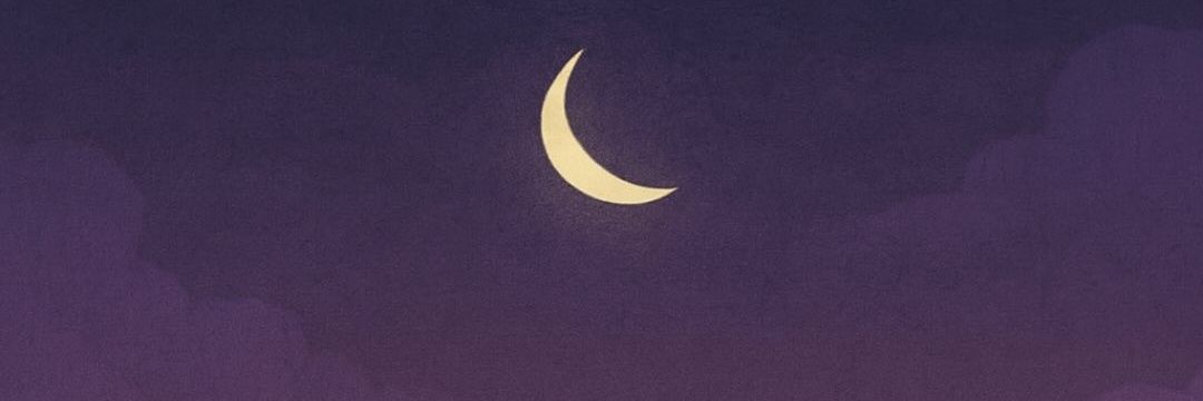AmoraTeresia's profile banner image