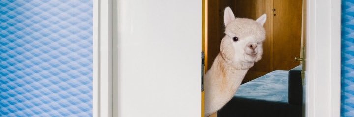 FlorSandrin's profile banner image