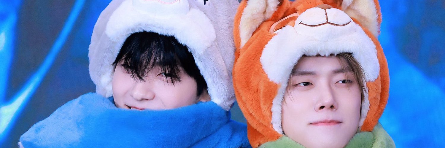 no labels just kitten! (solo harrie) banner