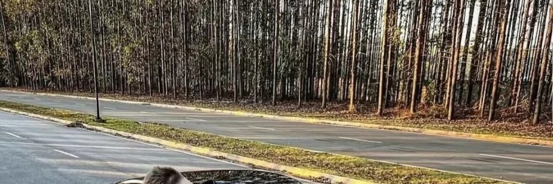 davidgamblersop's profile banner image