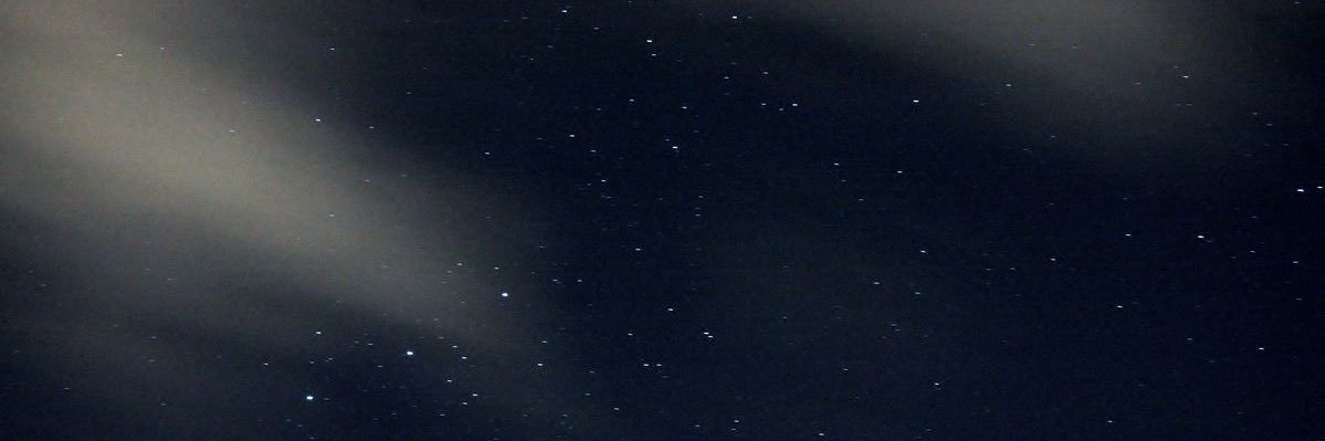 Maxyn banner