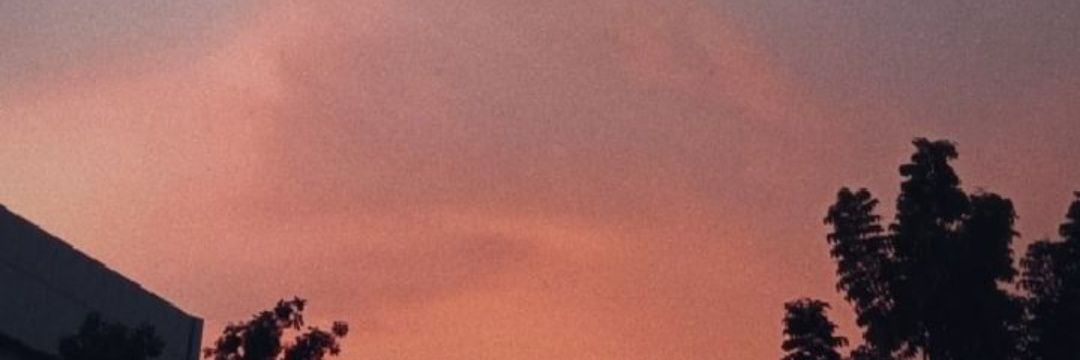 cici banner