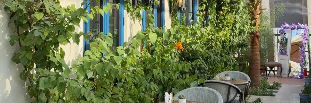 Savine Elverra banner