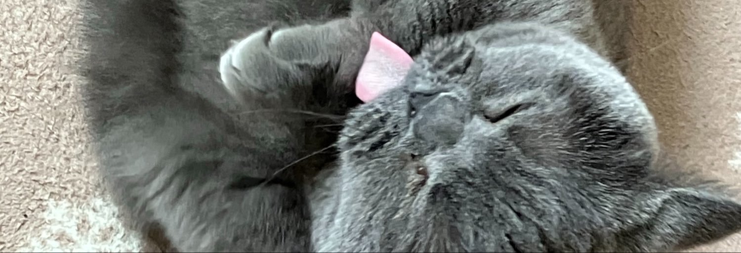 nerukoubfb's profile banner image