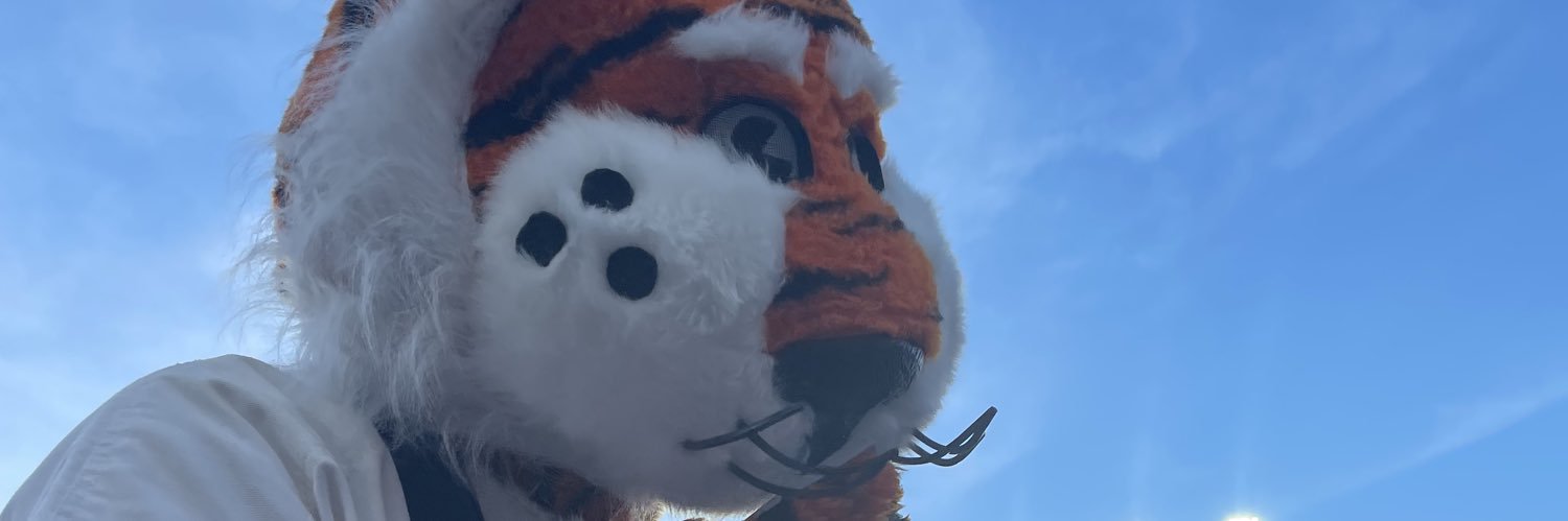 Paula Claunch banner