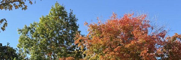 damienlou97 Profile Banner