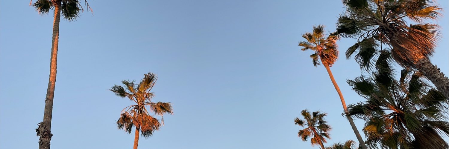 biabianco_'s profile banner image