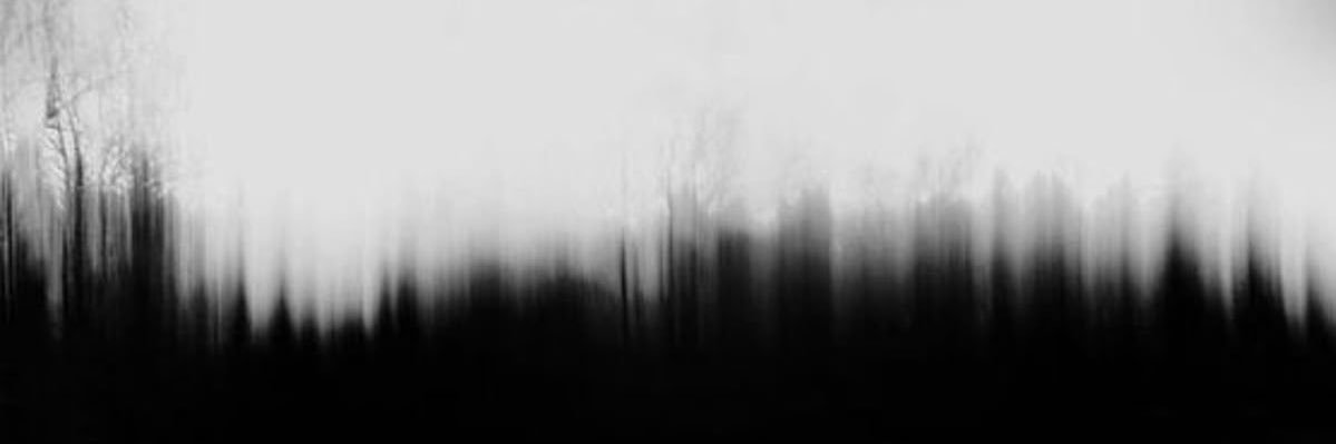 idvvll's profile banner image