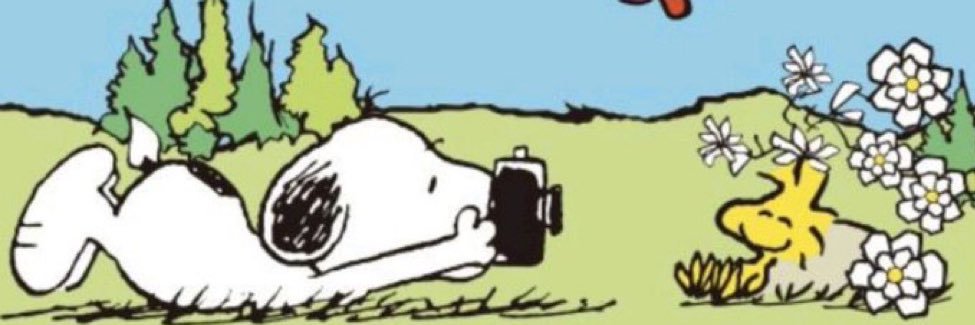 legol_ass's profile banner image