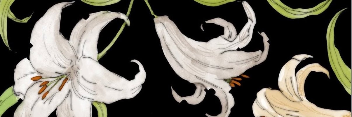 Ctsnnlsj's profile banner image