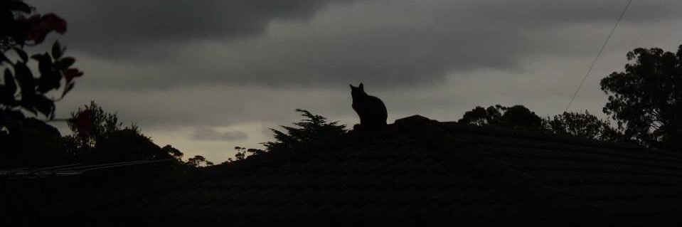 jenttemm's profile banner image