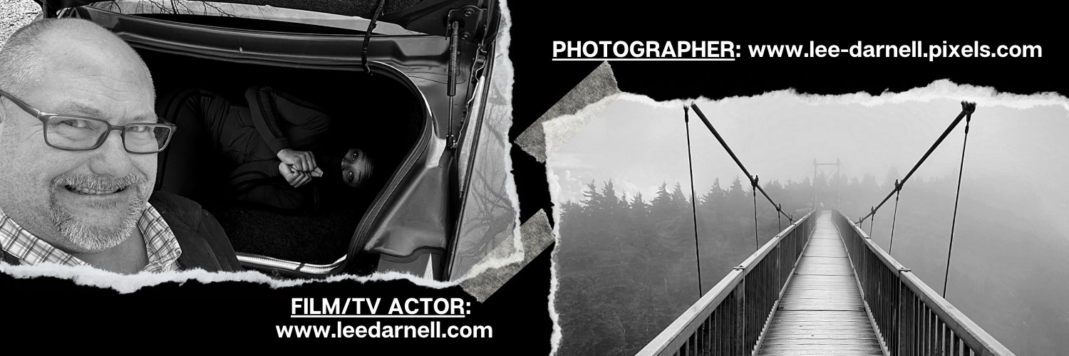 RealLeeDarnell's profile banner image