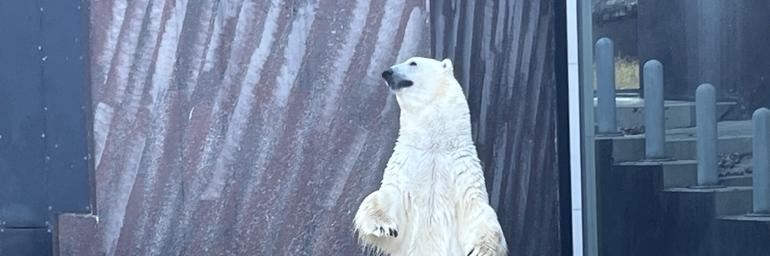 もちもちらむね banner