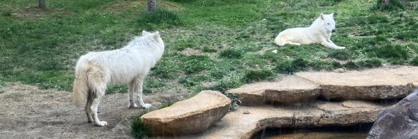 mimal_bb Profile Banner