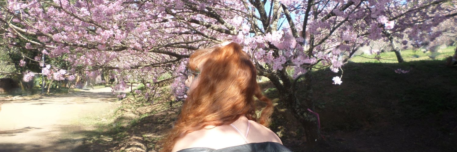vih_kitt's profile banner image