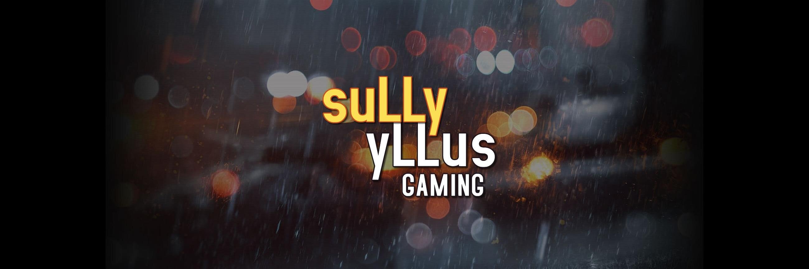 suLLy gaming banner