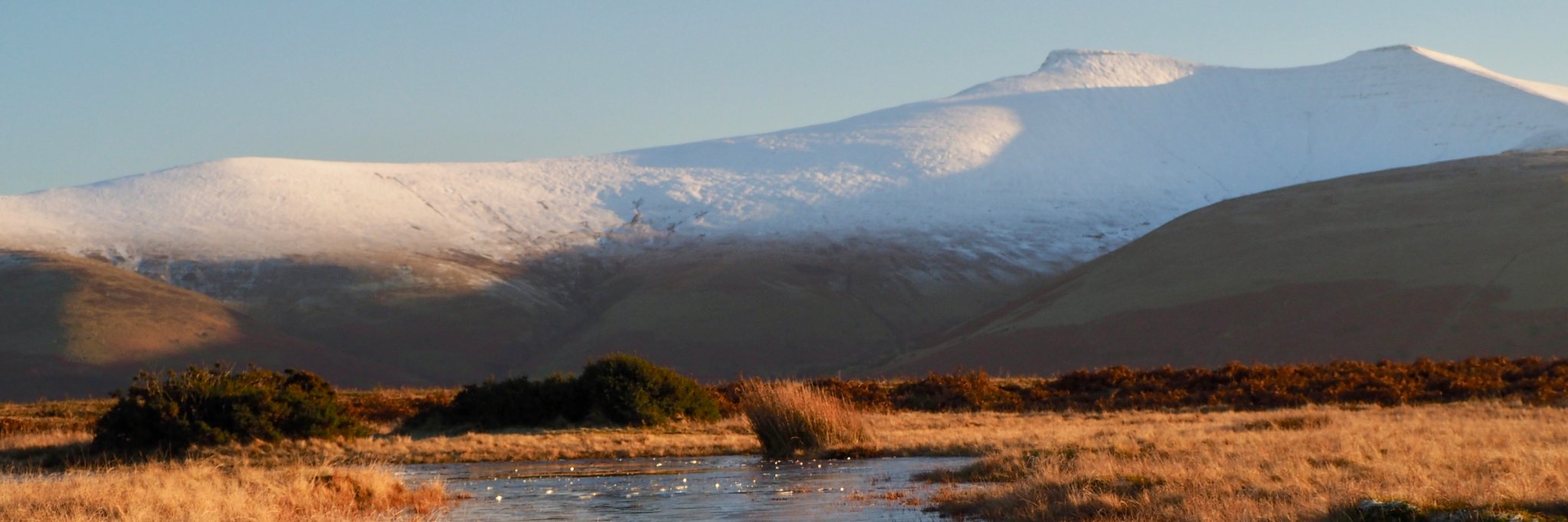 Simon Renault banner