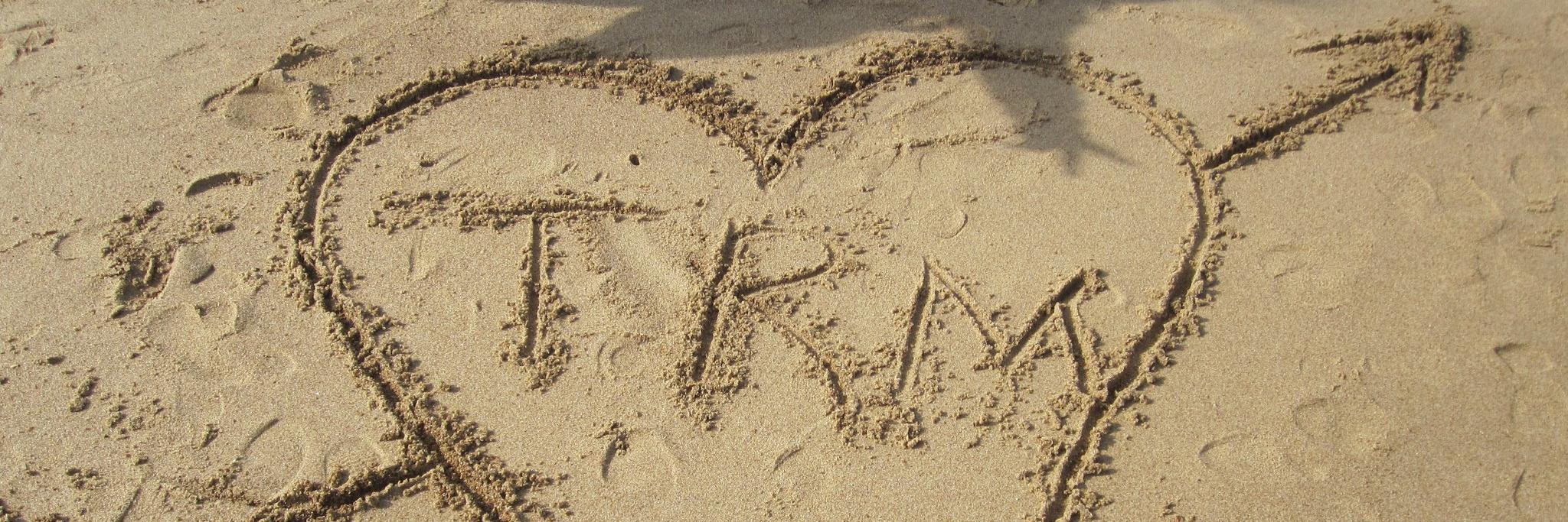 Vicky Van Den Heede banner