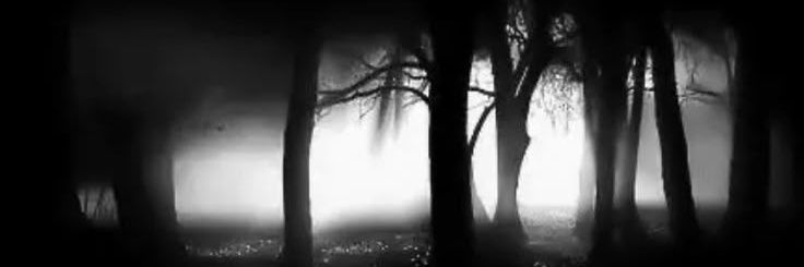 ﹙🐈‍⬛﹚ 𝗚𝗥𝗘𝕋𝕋𝗔 ₊ ׄ banner