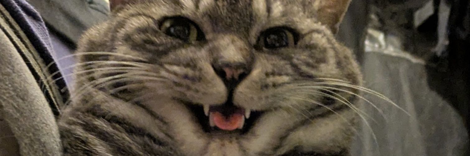 mrpokusothi's profile banner image