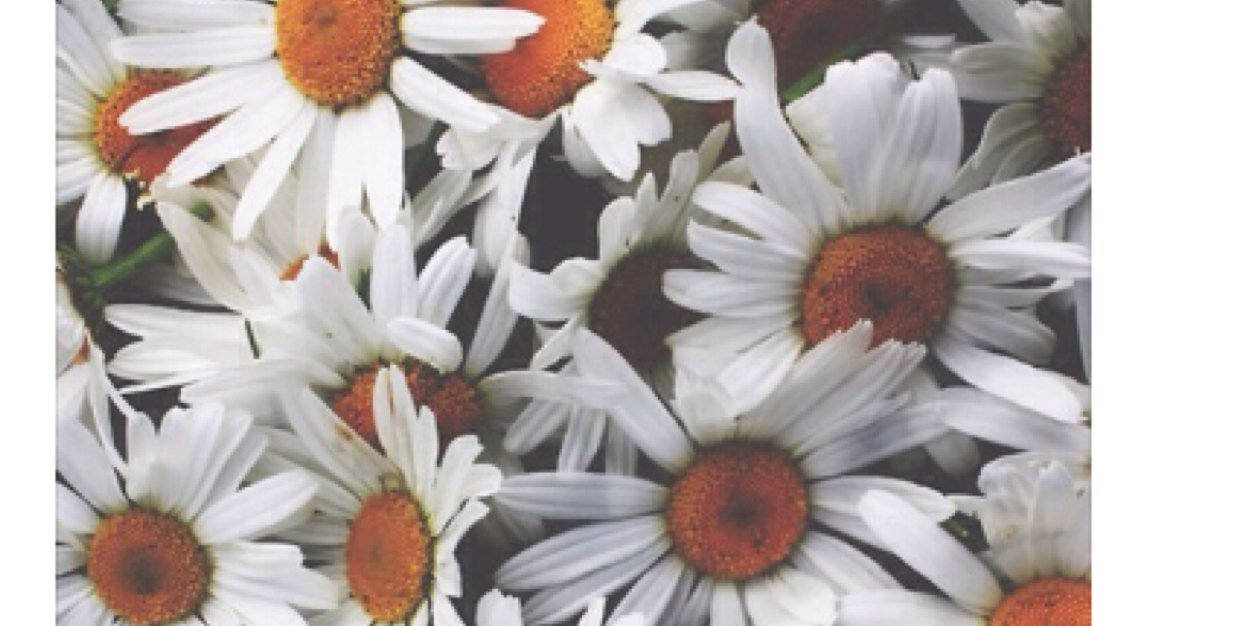 amyyyyyy97's profile banner image