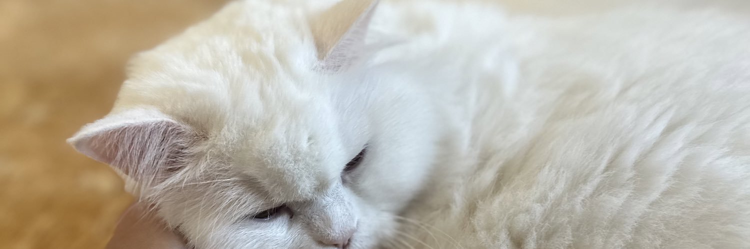 kanduramaz's profile banner image