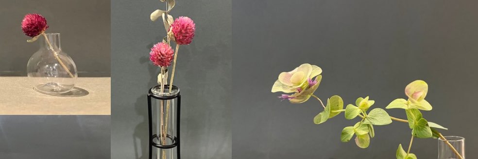 VitaFlora_'s profile banner image
