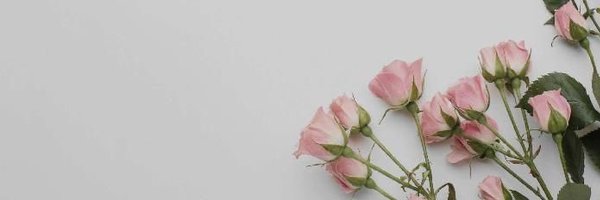 uracadbuddyph Profile Banner