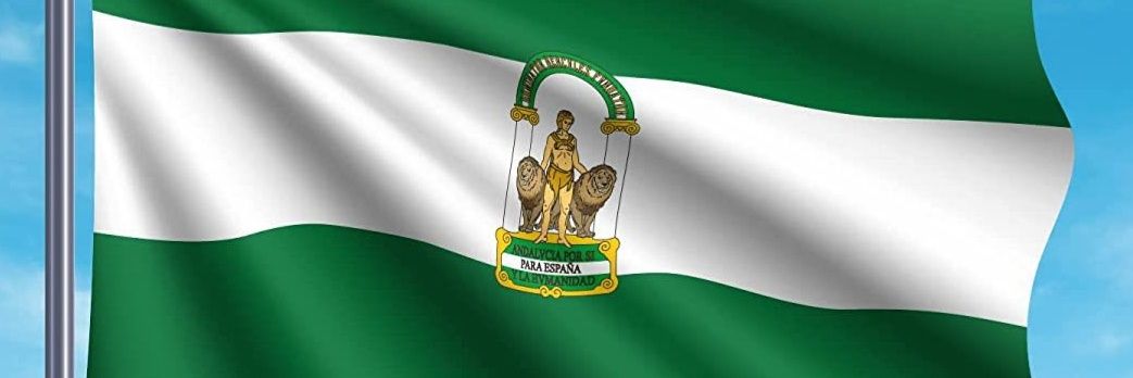 Cayetano Fernández Baquero banner