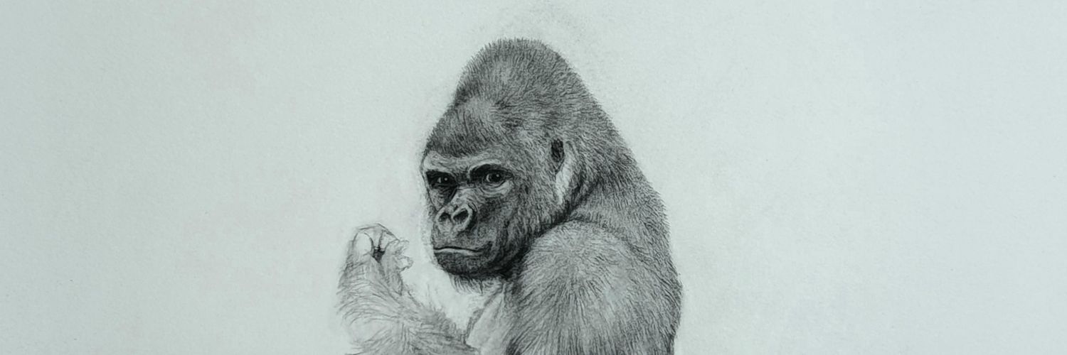 akora78's profile banner image
