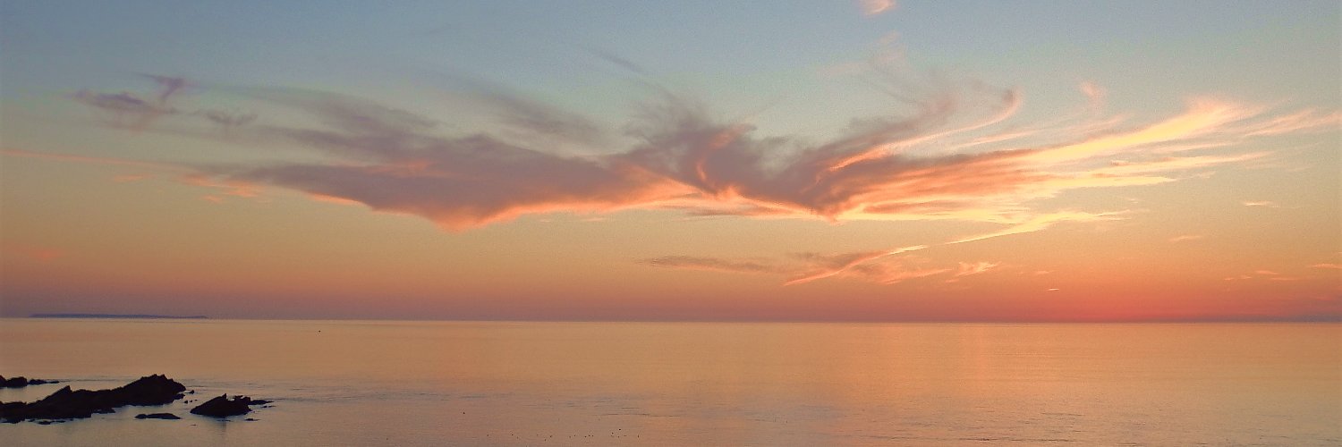 Janet Hutchins banner