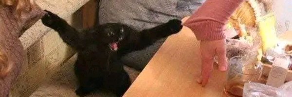 Marieladelmal41 Profile Banner