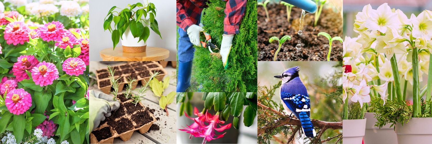 Gardening Know How banner