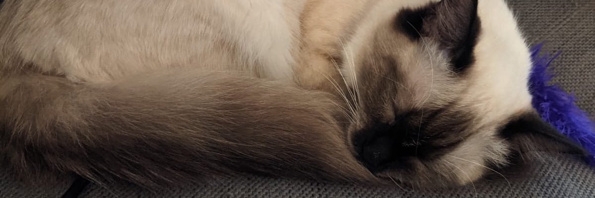 clarelyobvious's profile banner image
