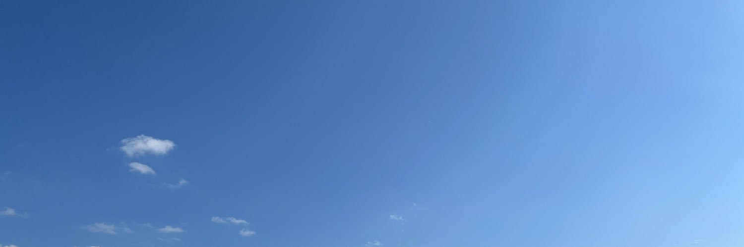 고양이타르트 banner