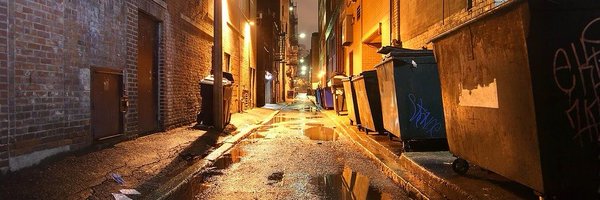 casi_flaco Profile Banner