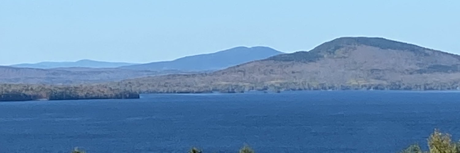 America First Mainer banner