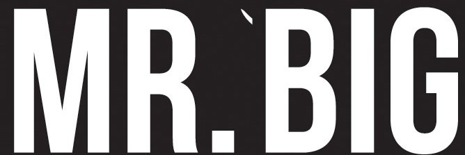 Wayne Clingman call me Mr Big banner