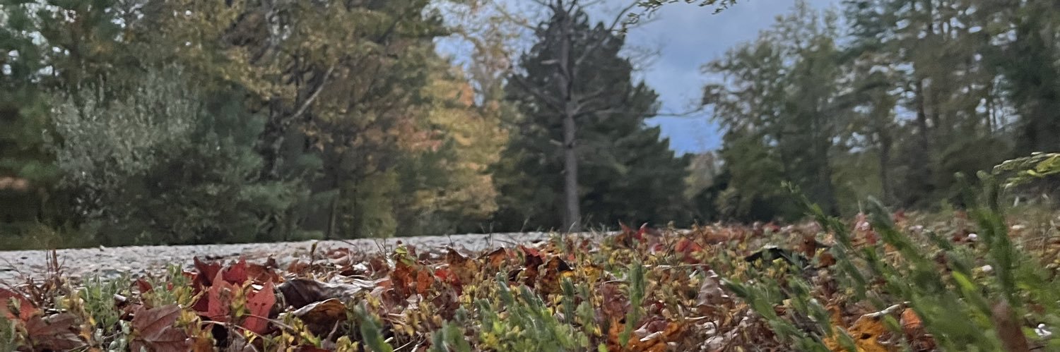 bobbynojoke banner