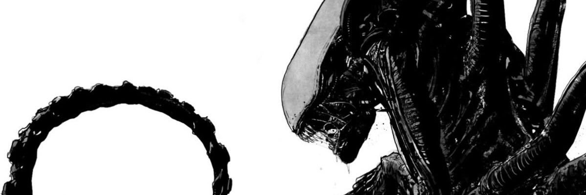 sasha ⁠⋆ . ࿔ ˚ 🍿🦴⛓️🦙 banner