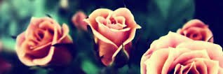 libby_mcbride's profile banner image