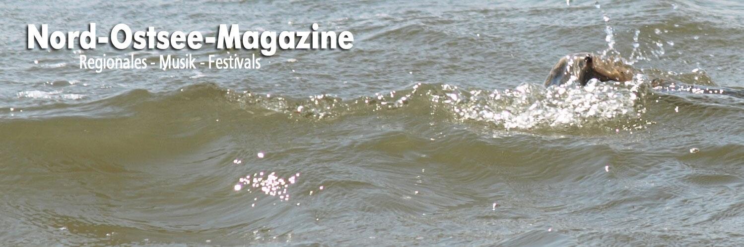 CIS Online-Magazine banner