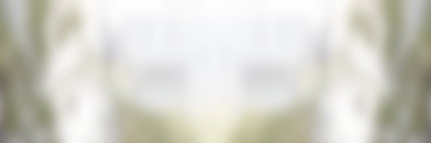 phenomenia's profile banner image
