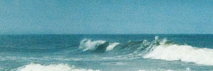 nicole 💿 banner