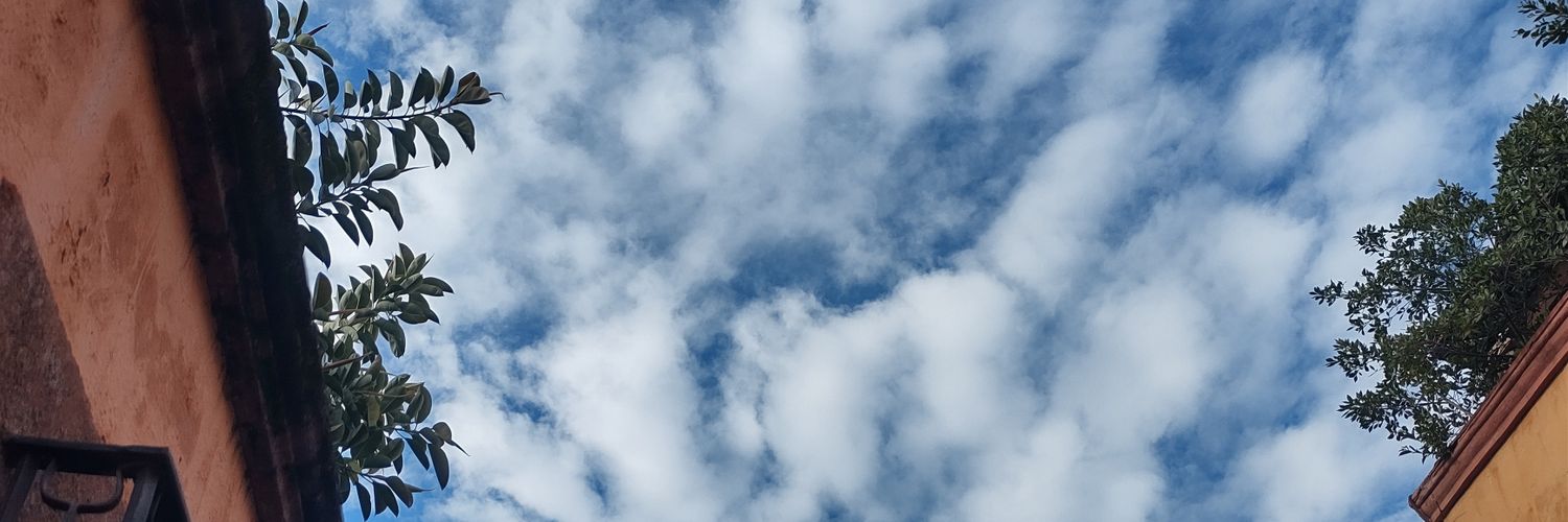 hecktoor banner